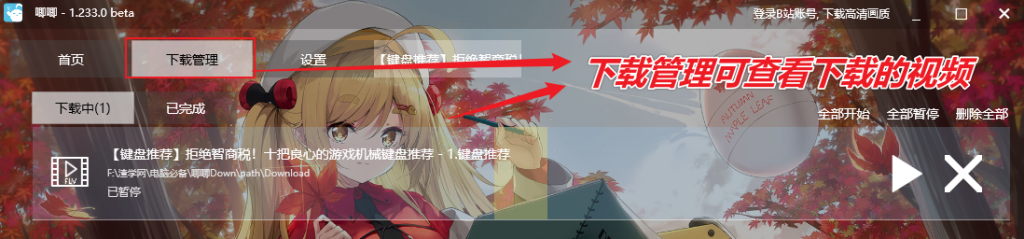 图片[9]-B站视频下载工具 — 唧唧Down-渣学网