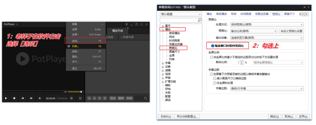 图片[7]-无边框全能影音播放器 — PotPlayer-渣学网