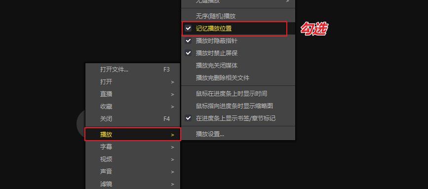 图片[9]-无边框全能影音播放器 — PotPlayer-渣学网