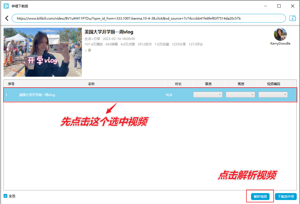 图片[8]-B站视频免费下载器 — DownKyi-渣学网