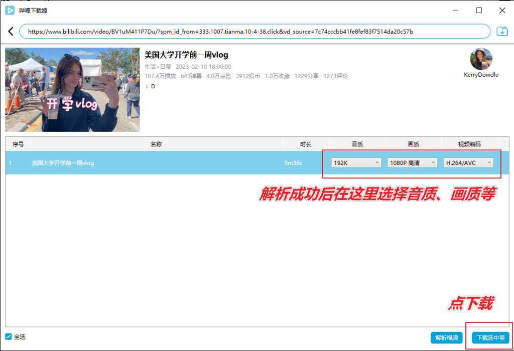 图片[9]-B站视频免费下载器 — DownKyi-渣学网