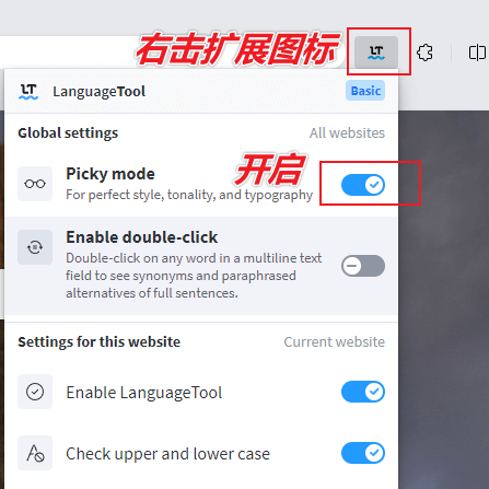 图片[6]-【扩展】LanguageTool — 强大的内容创作文本检查和改进工具-渣学网