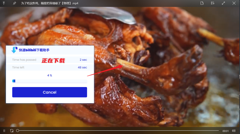 图片[5]-快速bilibili下载助手 - 快捷下载B站视频