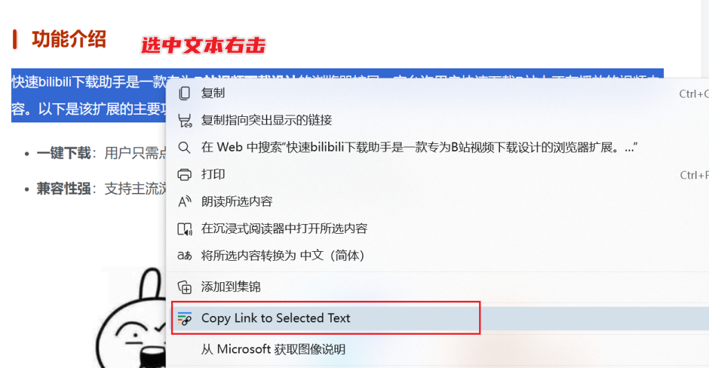 图片[4]-Link to Text Fragment - 快速分享网页定位的文本片段