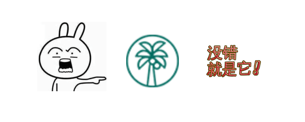 图片[2]-CocoCut - 网页媒体资源抓取助手，无水印下载视频