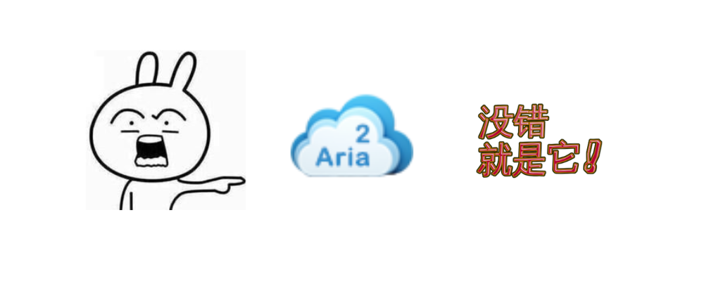 图片[2]-Aria2 Explorer - 搭配 Motrix 接管浏览器实现高速下载！