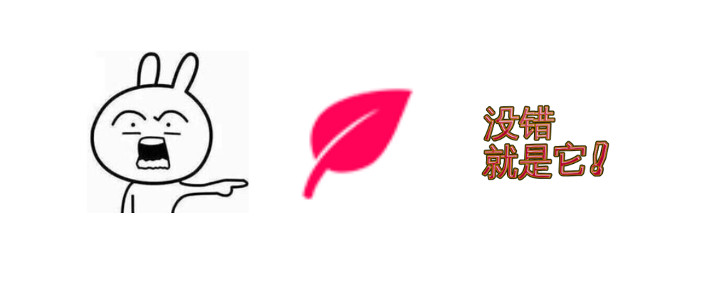 图片[2]-Leaf: Simple Notes - 网页信息随手记