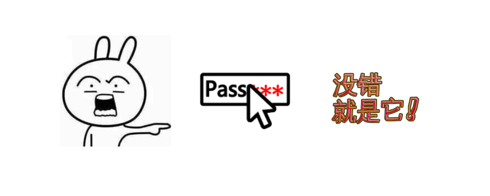 图片[2]-ShowPassword - 浏览器密码悬浮显示助手！