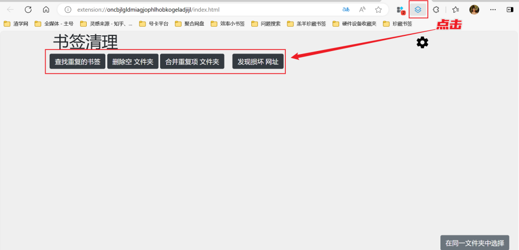 图片[4]-Bookmarks clean up - 浏览器书签整理专家
