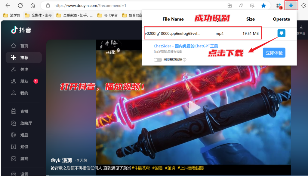 图片[4]-万能视频下载工具 - 网页视频智能捕获器，支持TikTok等平台