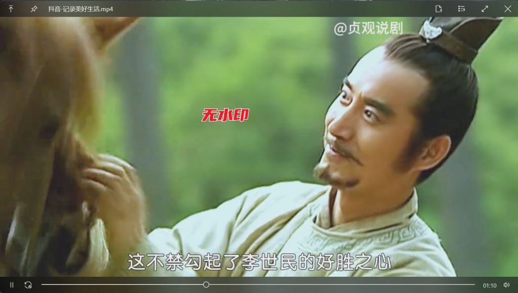 图片[5]-专业视频下载助手 - 网页视频抓取、解析、下载工具