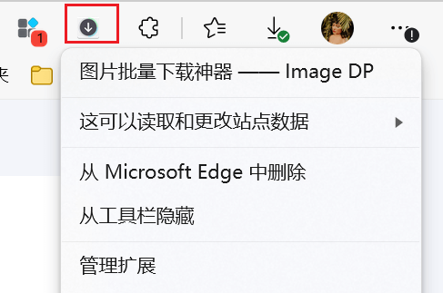 图片[3]-Image DP - 网页图片批量下载工具