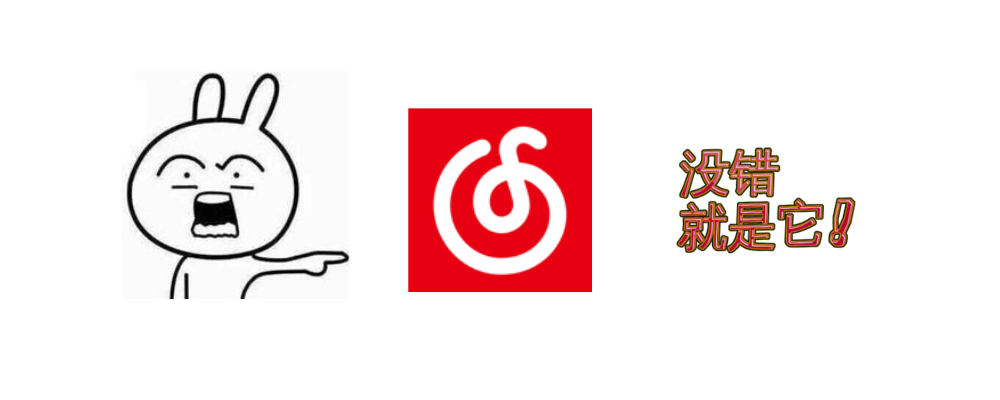 图片[2]-网易云音乐 - 无损播放网易云的VIP或变灰歌曲！