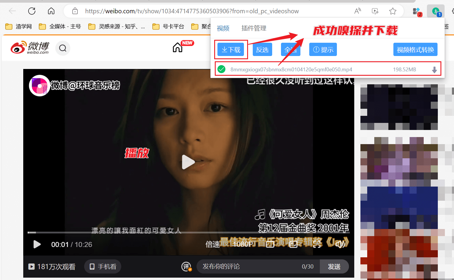 图片[4]-视频下载助手 - 主流视频网站资源快速嗅探下载！