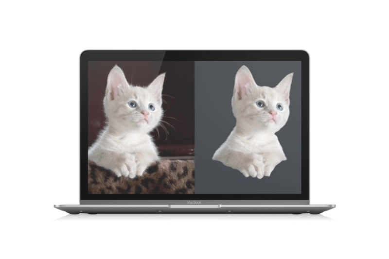 五款快速智能抠图网站「第2期」-渣学网