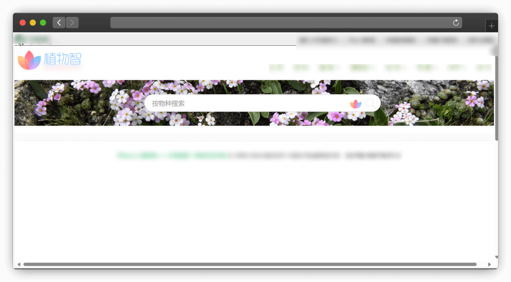 图片[4]-四款动植物识别搜图网站「第1期」