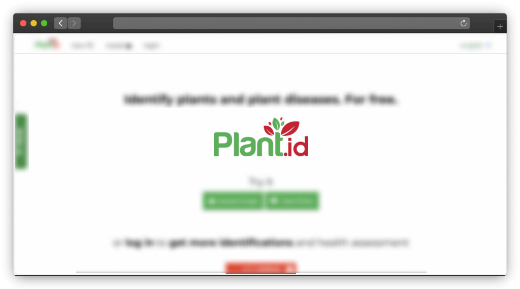 图片[5]-四款动植物识别搜图网站「第1期」