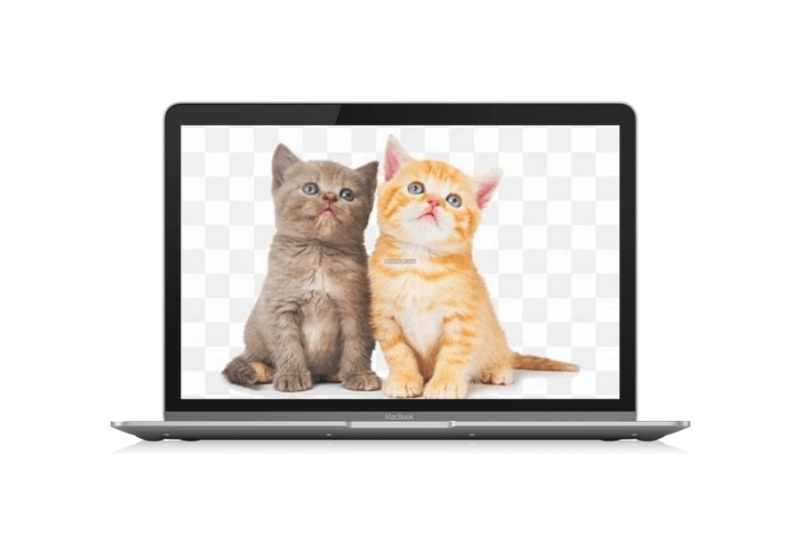 五款PNG素材资源（免抠图）下载网站「第1期」-渣学网