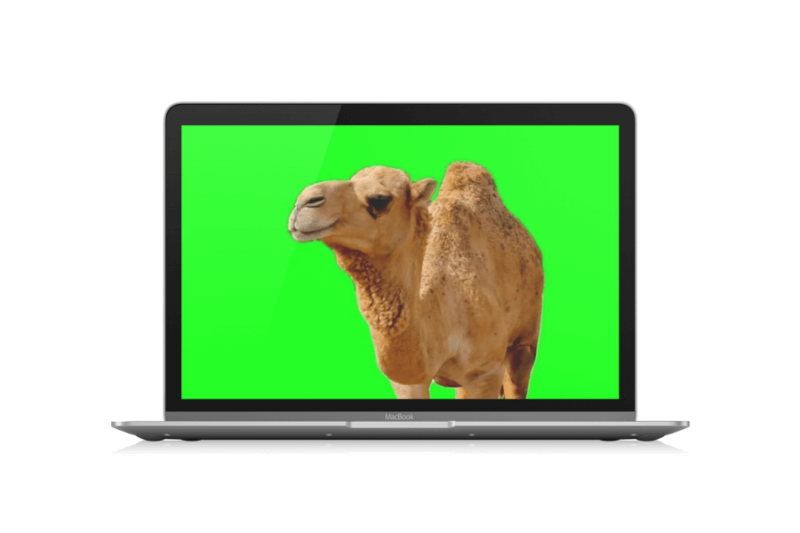 一款绿幕视频素材资源下载网站！-渣学网