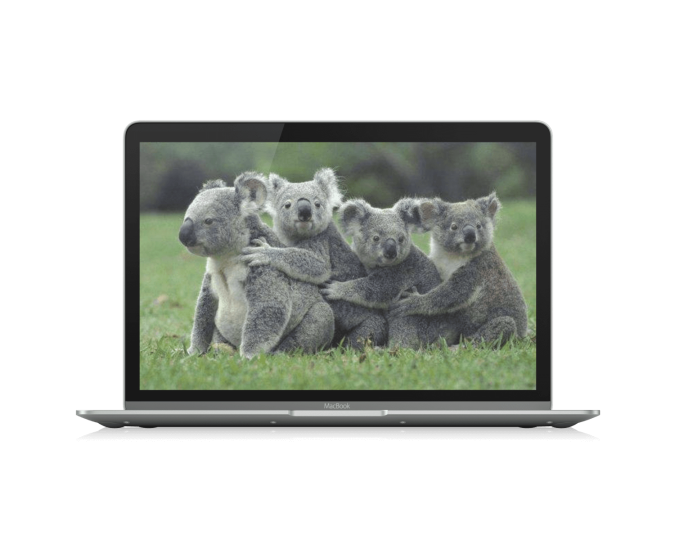 七款动物植物百科知识（学习）网站「第1期」-渣学网