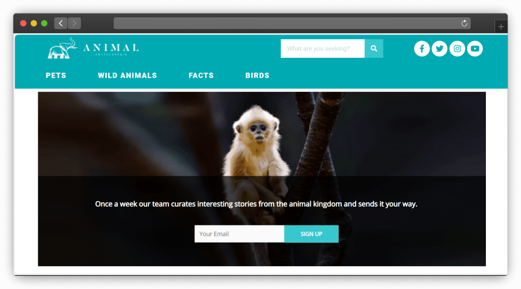 图片[3]-七款动物植物百科知识（学习）网站「第1期」