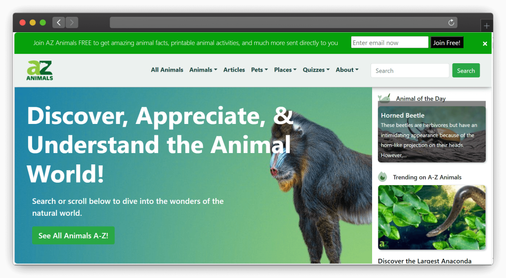 图片[4]-七款动物植物百科知识（学习）网站「第1期」