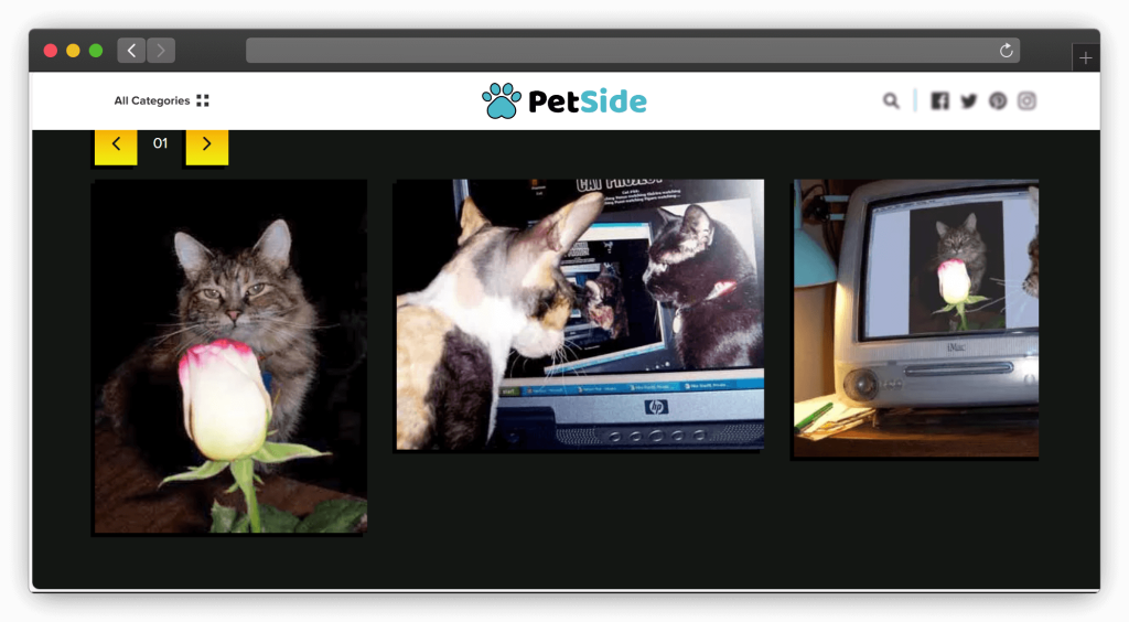 图片[8]-八款在线休闲解压游戏畅玩网站「第3期」