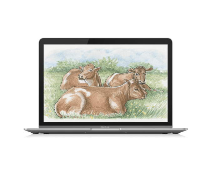 三款物种（动植物）查看查询网站「第1期」-渣学网