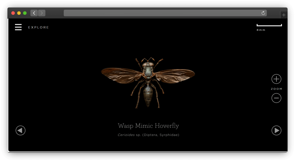 图片[2]-三款物种（动植物）查看查询网站「第1期」